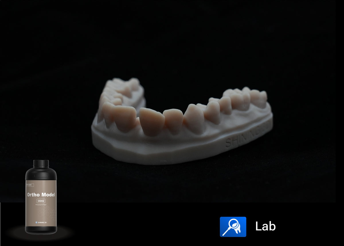 SHINING DENT OD02 Ortho Model dervos buteliukas ir atspausdintas modelis